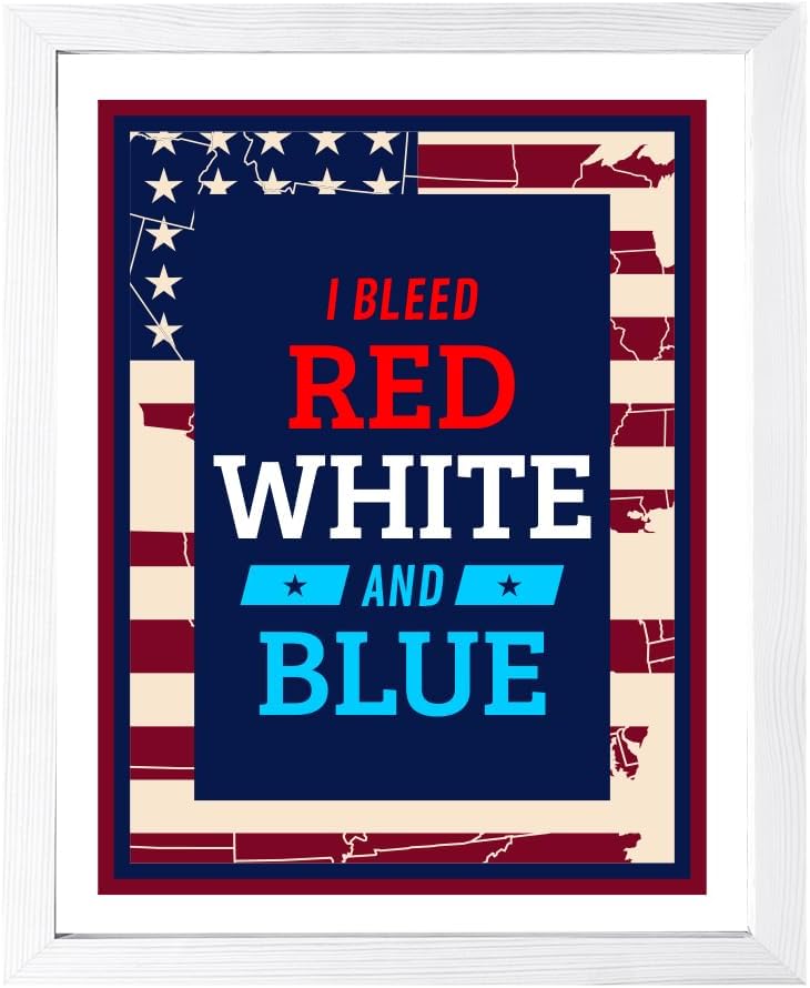 I Bleed American Frame